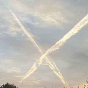 Meet your Posher, Aliciah